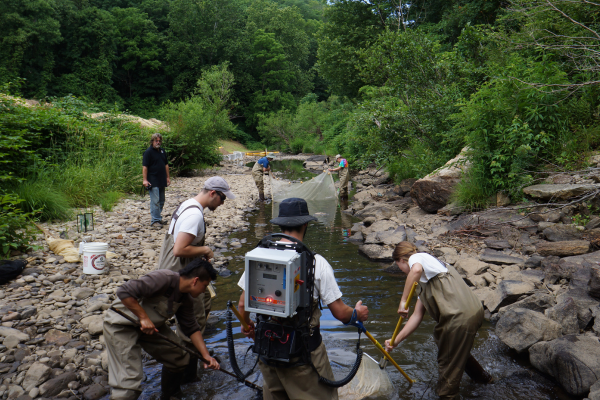 Advanced Electrofishing