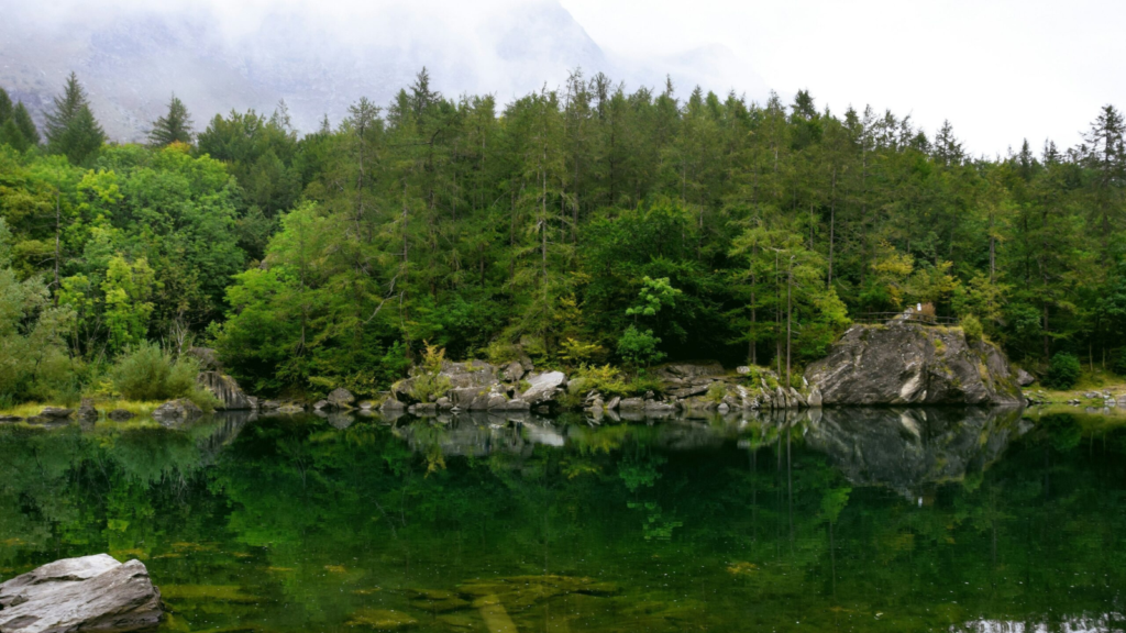 Calm lake with emerald-green water reflecting a dense forest and rocky shoreline.