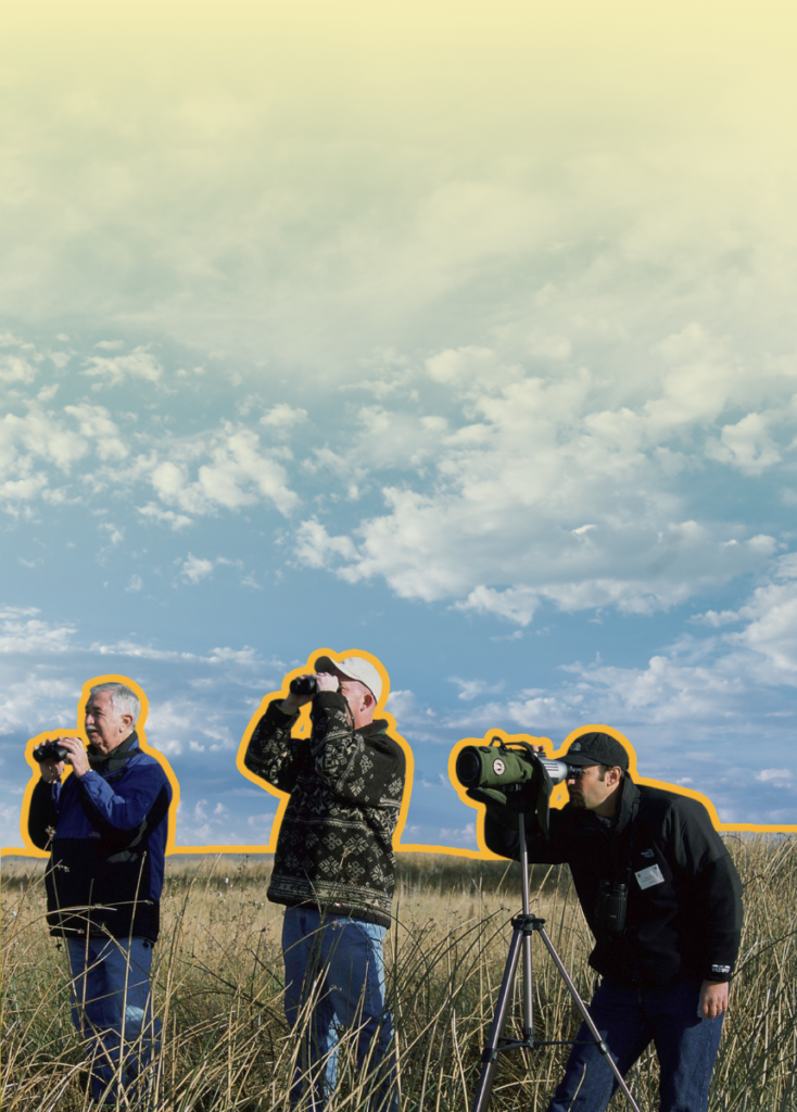 Three men in a field with binoculars and a spotting scope on a tripod, looking up at the sky as part of birdwatching or field observation.
