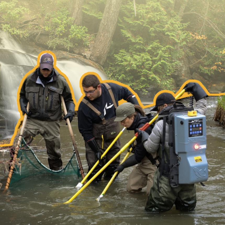 Group of researchers wading in a river, using poles and nets to sample water near a waterfall, wearing waders and protective gear.