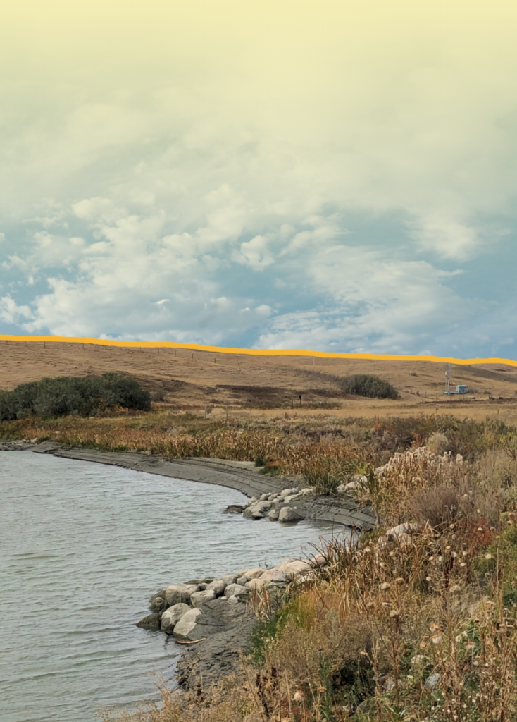 Shoreline with rocks and tall grasses beside a calm body of water, a dry hill in the distance marked by an orange line against a blue sky with clouds