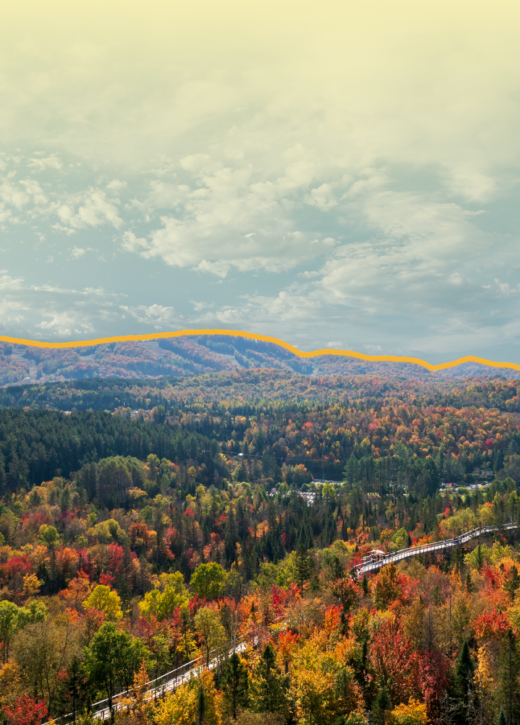 Autumn forested valley with red, orange, and yellow trees and a winding road, a bright orange ridge line in the distance under a pale sky.