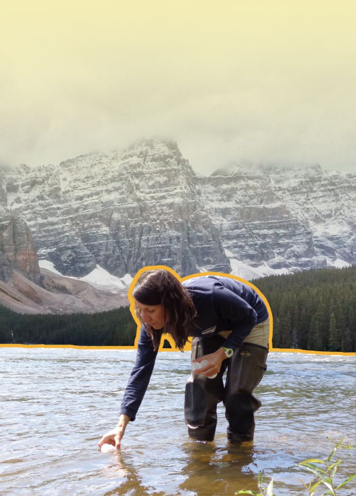 Person bending over in a shallow lake, wearing waders, reaching into the water with snow-capped mountains in the background.