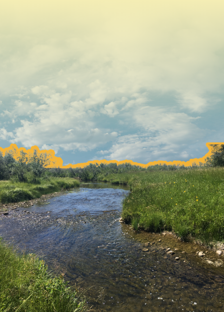 A small river winds through a grassy meadow under a blue, partly cloudy sky on a sunny day.