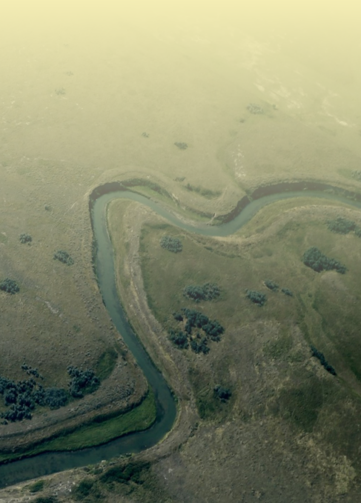 Aerial view of a meandering river winding through grassy wetlands with scattered shrubs and trees.