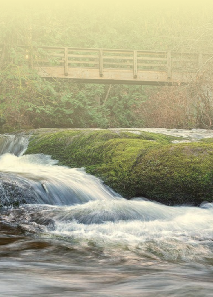 Wooden bridge over a mossy river with rapids beneath a hazy, light-filled sky.