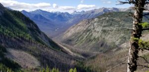 Vast mountain valley with forested slopes and distant snow-capped peaks beneath a blue sky.