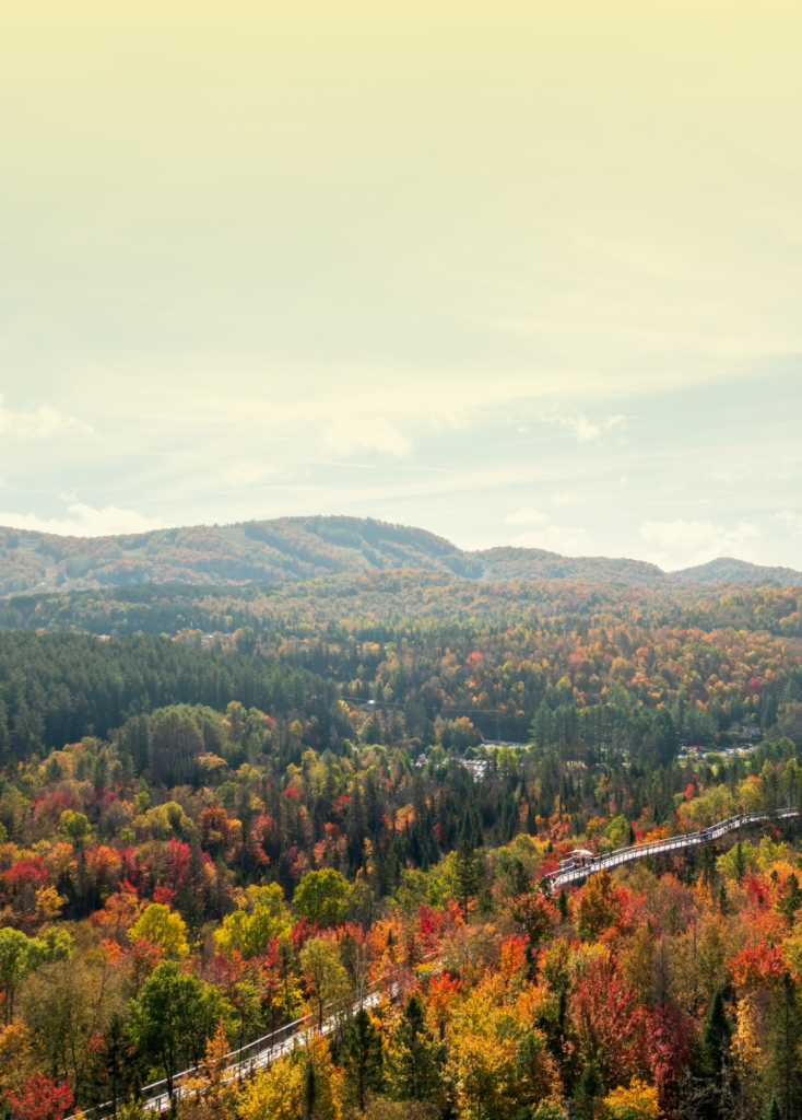Panoramic autumn forest with red, orange, and yellow trees and a wooden boardwalk weaving through the hills under a pale sky.