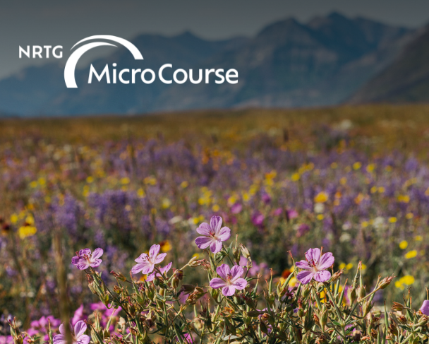 Native Prairie Restoration Featured Image